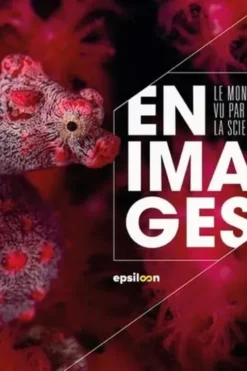 Le monde vu par la science en images, Pierre-Yves Bocquet