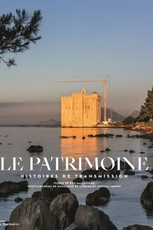 Le patrimoine. Histoire de transmission, Guy Sallavuard