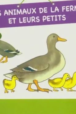 Les animaux de la ferme et leurs petits, Inconnu