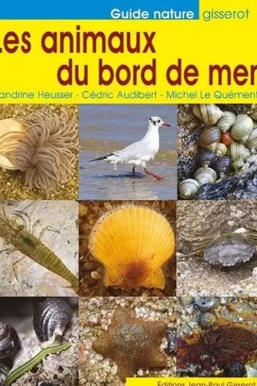 Les animaux du bord de mer, Sandrine Heusser