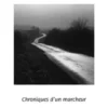 Les claires voies, Christophe Mahy