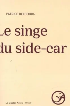 Le singe du side-car, Patrice Delbourg