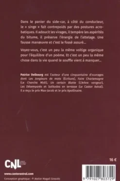 Le singe du side-car, Patrice Delbourg