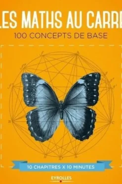 Les maths au carré. 100 concepts de base, Marianne Freiberger