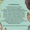 Les papanimaux, Delphine Debieu