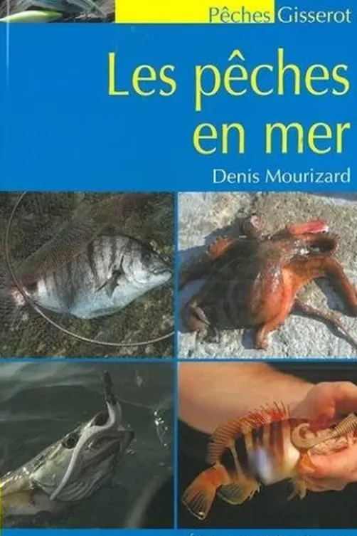 Les pêches en mer, Denis Mourizard