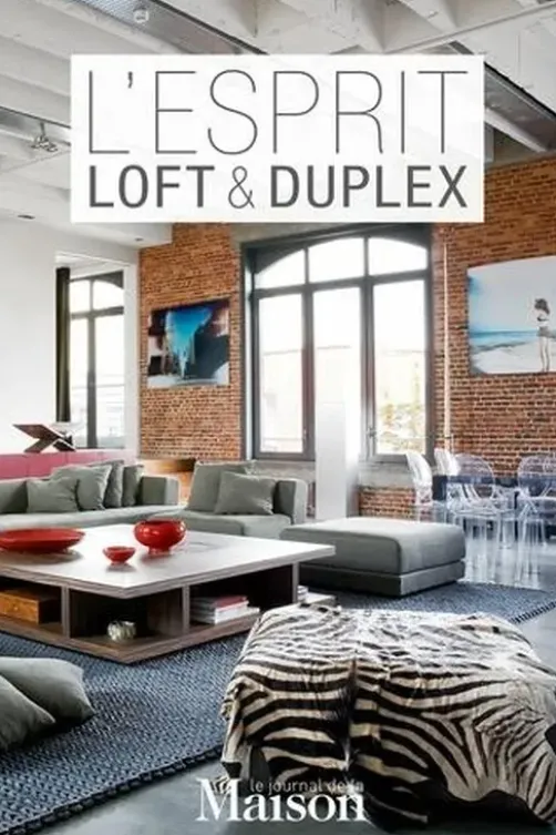 L'esprit loft & duplex, Anne Gastineau