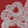 Les trois coeurs du poulpe, Raluca Antonescu