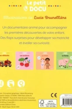 Les véhicules. Avec des flaps surprises !, Lucie Brunellière