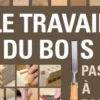 Le travail du bois pas à pas, Colin Eden-Eadon