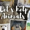 Let's help animals ! Edition en anglais, Lydie Colette