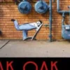 Let's Play !, Oak Oak