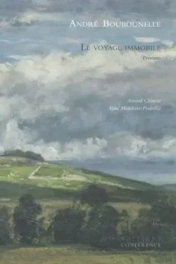 Le voyage immobile, André Boubounelle