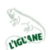 L'iguane, Anna Maria Ortese