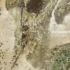 Lionel Sabatté. Eclosion, Edition bilingue français-anglais, Aurélie Voltz