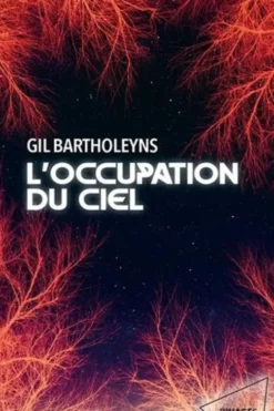 L'occupation du ciel, Gil Bartholeyns