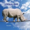 L'équilibre, Henri Girard