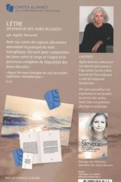 L'être. 101 cartes de transformation, 101 pages d'évolution, Agnès Stevenin