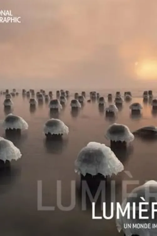 Lumières. Un monde imprévisible, National Geographic