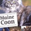 Maine Coon, Florence Desachy