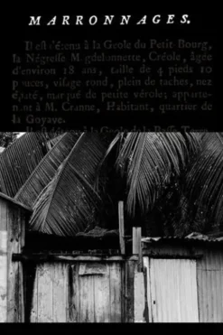 Marronnages. Lignes de fuite, Bernard Gomez
