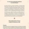 Maternité sacrée. Réinventer sa vision de la naissance, Justine Grondin