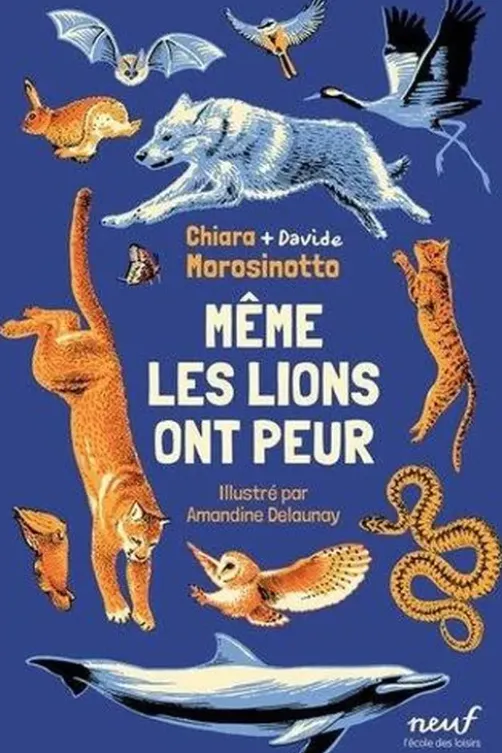 Même les lions ont peur, Chiara Morosinotto