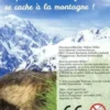 Montagne, Hélène Tellier