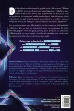 Métavers : une vision pratique. 60 cas (bien) réels, Sébastien Laye