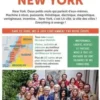 New York. Edition 2024-2025. Avec 1 Plan détachable, Le Routard
