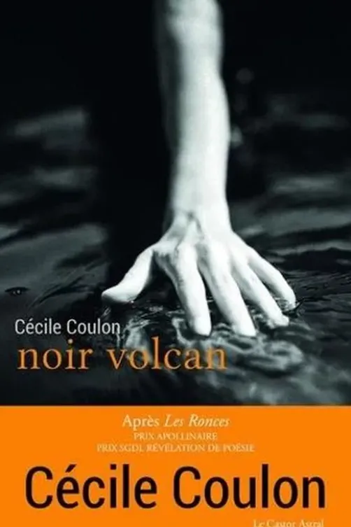 Noir volcan, Cécile Coulon