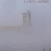 Notre-Dame de Mantes. La belle oubliée, Christophe Lefébure