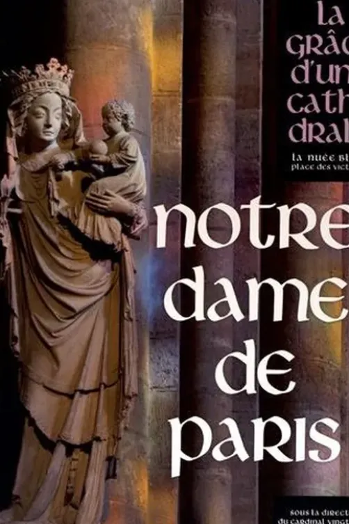 Notre-Dame de Paris. La grâce d'une cathédrale, André Vingt-Trois