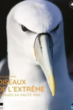 Oiseaux de l'extrême. Un voyage en haute mer, Arnaud Guérin