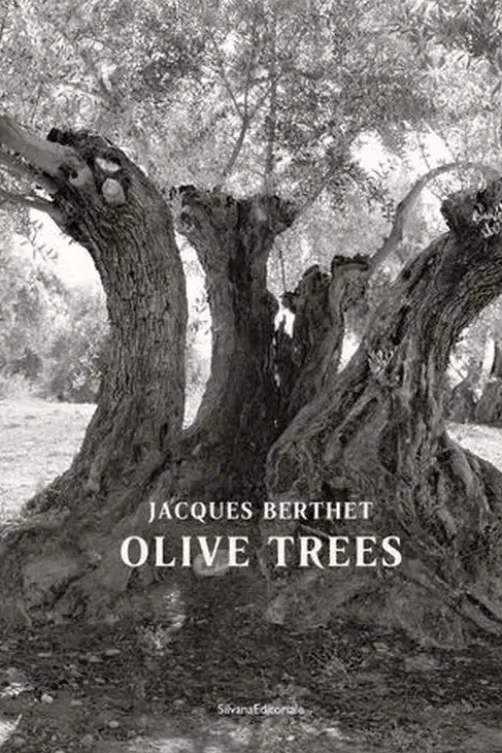 Olive Trees. Edition bilingue français-anglais, Jacques Berthet