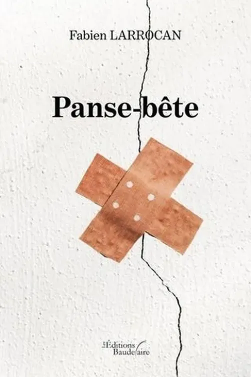 Panse-bête, Fabien Larrocan