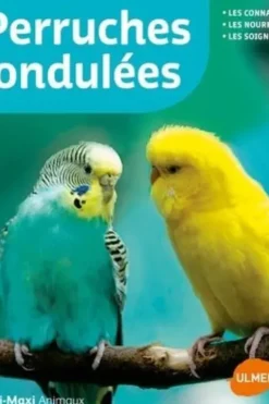 Perruches ondulées, Kurt Kolar