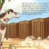 Petit Chou : Les voleurs de pyramides [ADAPTE AUX DYS, Amandine Marshall