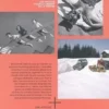 100 photos de Jacques Henri Lartigue pour la liberté de la presse, Perrine Daubas