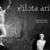 Pilota arimak. Edition bilingue français-basque, Polina Jourdain-Kobycheva