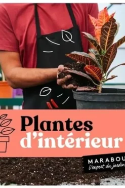 Plantes d'intérieur, Claire Pinson