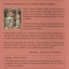 Pline l'Ancien. Le Testament de Pompéi, Franck Lafossas