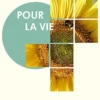 Pour la vie, Nicole Laurent-Catrice