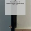 Pouvoir destituant, Pierandrea Amato