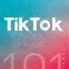 101 questions sur TikTok, Jean-Noël Chaintreuil