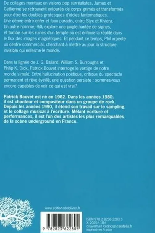 Realitiz, Patrick Bouvet