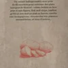 Recettes de bistrot, Artémis