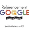 Référencement Google. Mode d'emploi, 2e édition, Olivier Andrieu