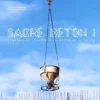 Sacré béton ! Fabrique et légende d'un matériau du futur, Philippe Genestier