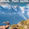 Savoie Mont-Blanc. Edition 2021, Petit Futé
